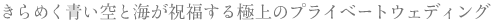 ����߂�����ƊC���j������ɏ�̃v���C�x�[�g�E�F�f�B���O
