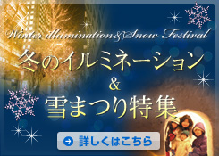 �~�̃C���~�l�[�V�������~�ԉΓ��W
