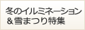 �~�̃C���~�l�[�V�������~�ԉΓ��W