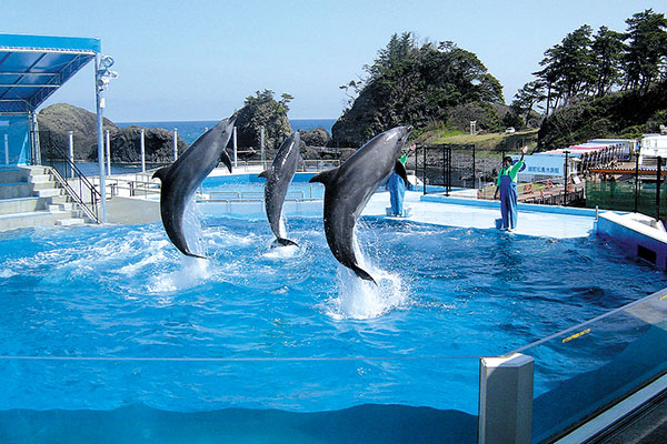 越前松島水族館