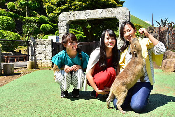 伊豆シャボテン動物公園