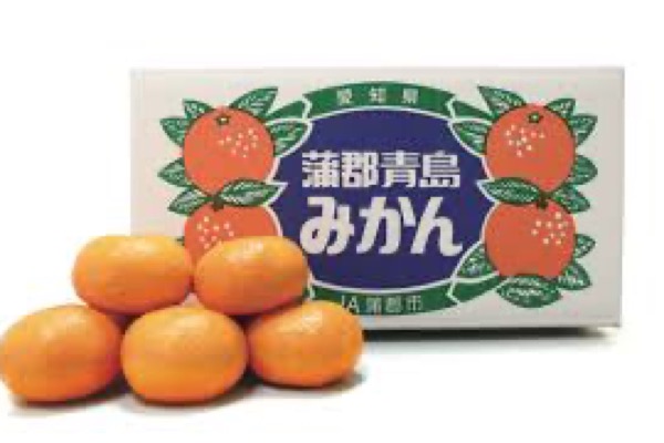 蒲郡オレンジパーク