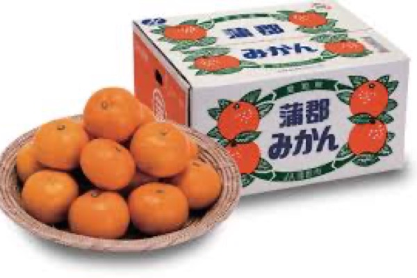 蒲郡オレンジパーク