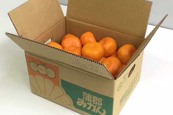 蒲郡オレンジパーク