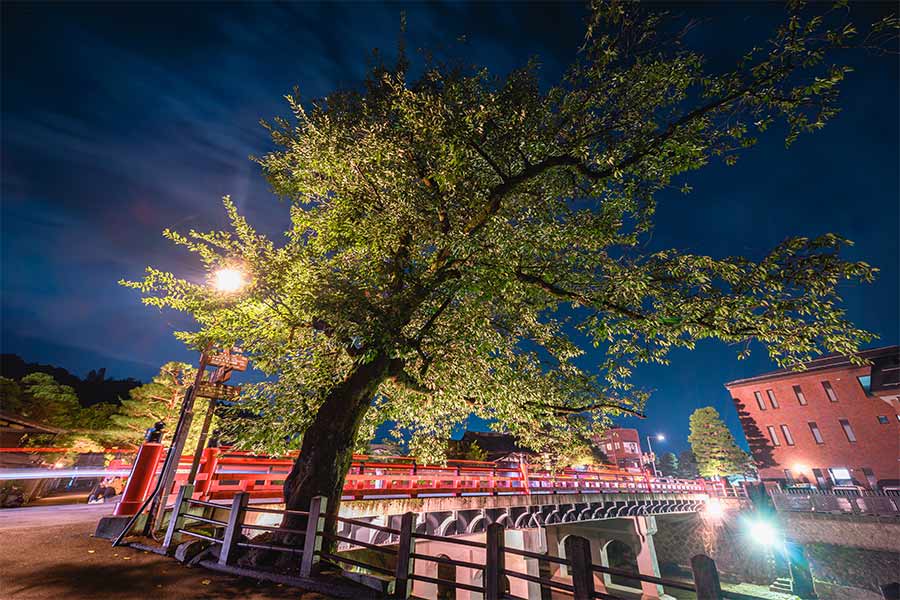 夏の飛騨高山 ライトアップ