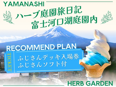 ふじさんデッキ＋ふじさんソフト付