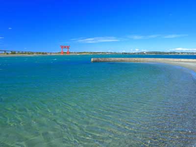 Ｗｅｂコレスペシャル★東海