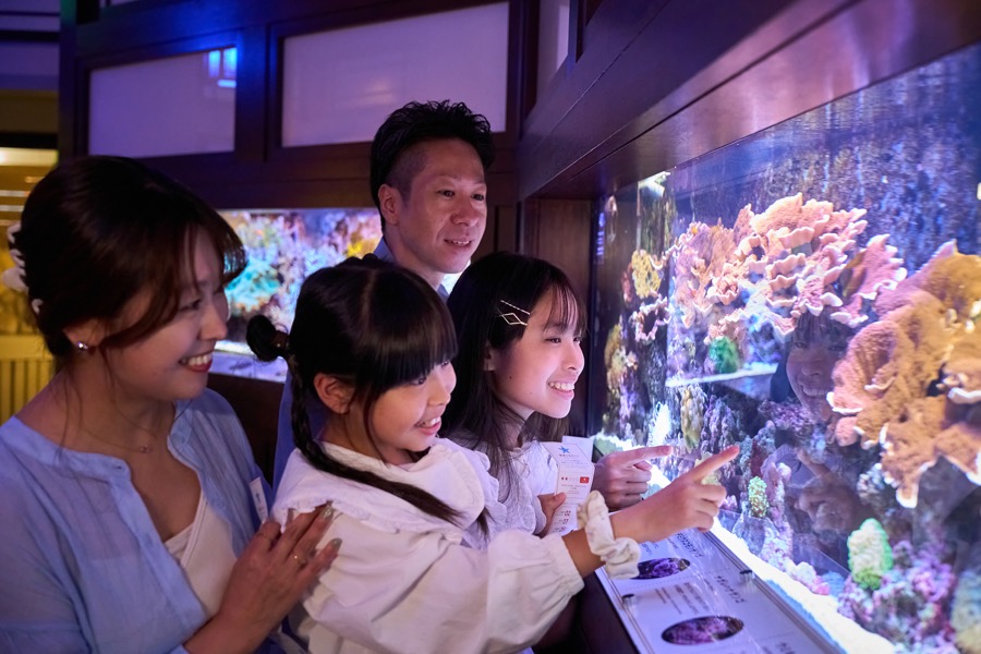 横浜開運水族館