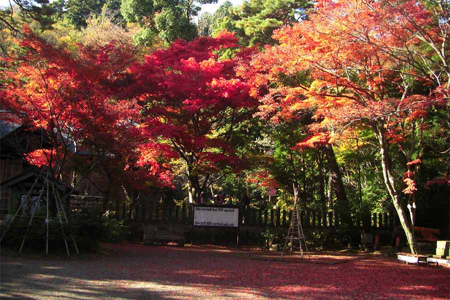 春日山神社