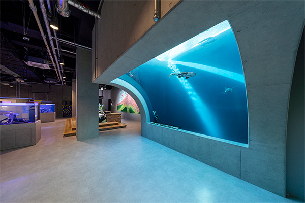 AQUARIUM×ART atoa