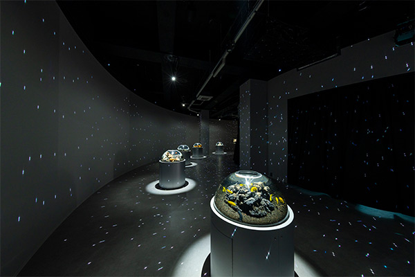 AQUARIUM×ART atoa