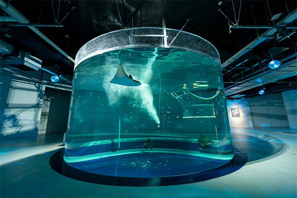 AQUARIUM×ART atoa