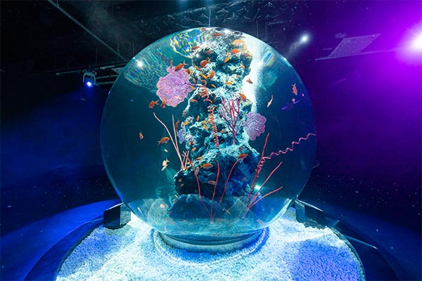 AQUARIUM×ART atoa