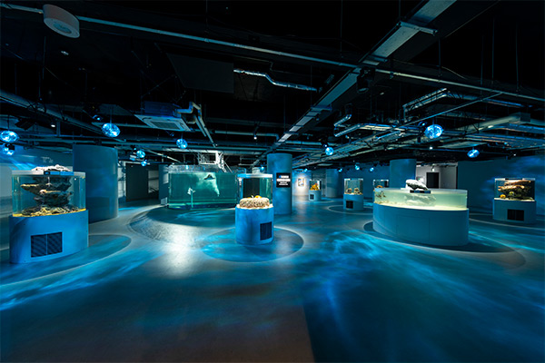 AQUARIUM×ART atoa