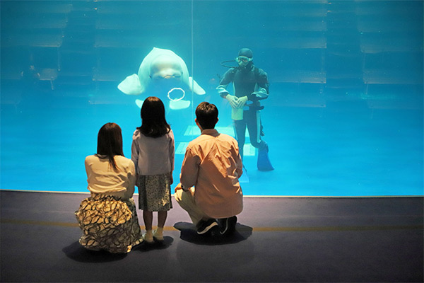 島根県立しまね海洋館アクアス