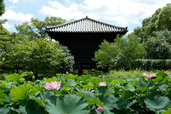 東寺