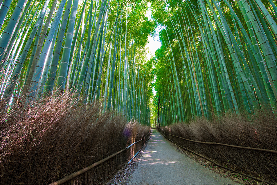 京都_風景