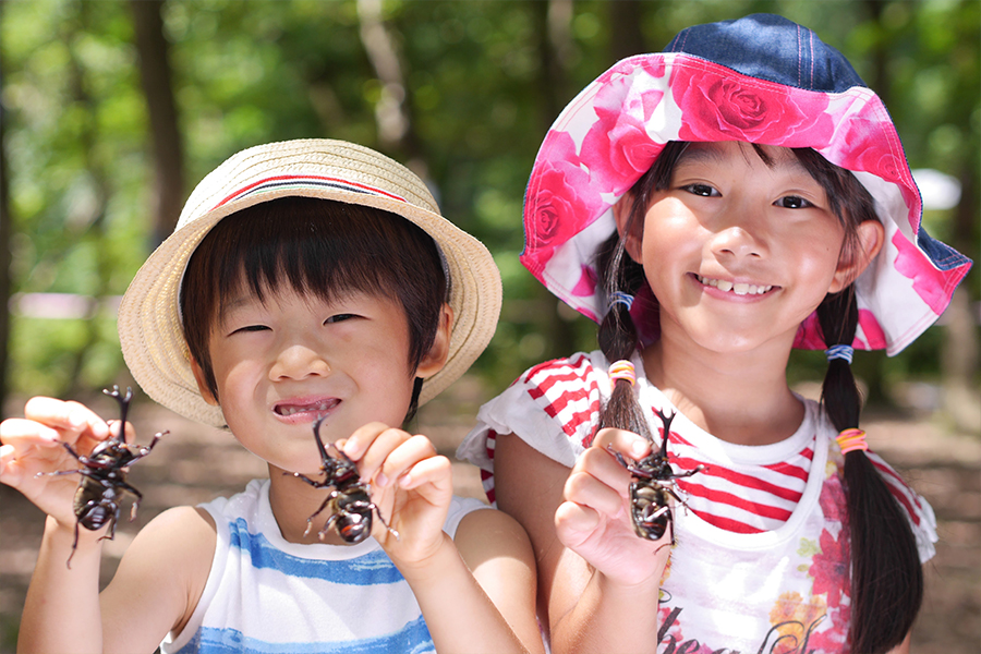 かぶと虫わくわくランド
