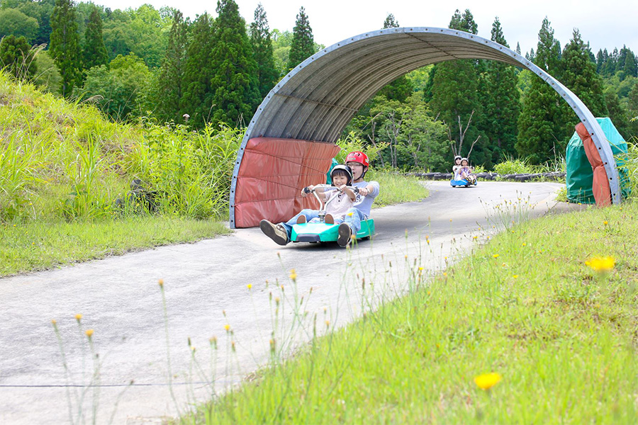 ローラーリュージュ