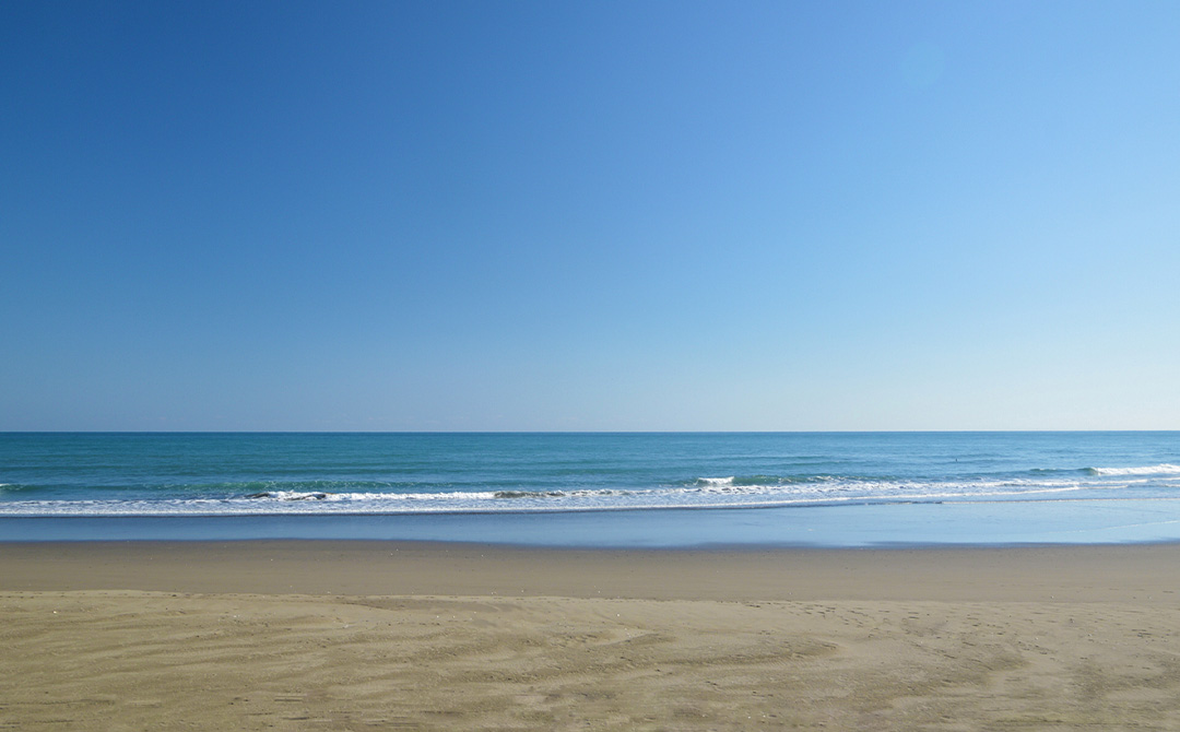 蚊口浜