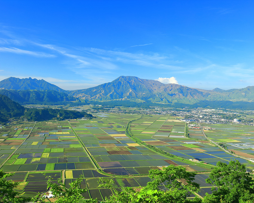 大観峰展望所