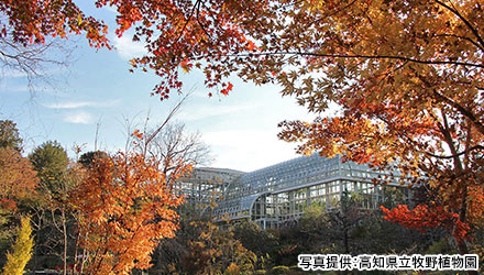 高知県立牧野植物園