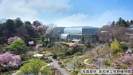高知県立牧野植物園