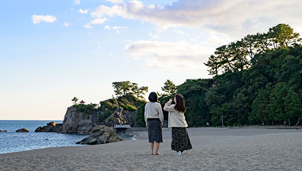 桂浜
