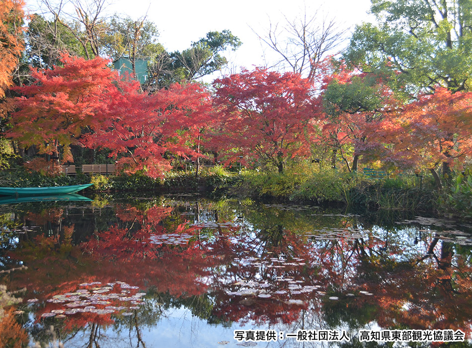北川村「モネの庭」