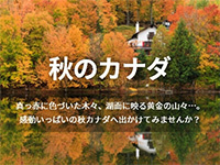 秋のカナダ旅行特集