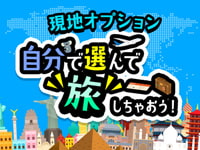 オプショナルツアー