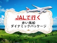 【JAL】航空＋宿泊