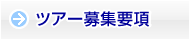 ツアー募集要項
