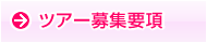 ツアー募集要項