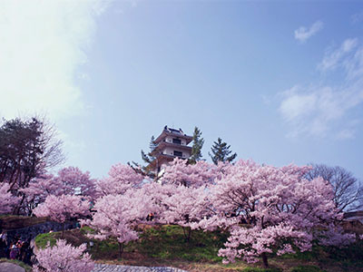 高遠城址公園