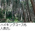 ハイキングコースも人気だ。