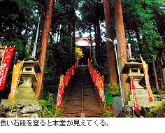 長い石段を登ると本堂が見えてくる。
