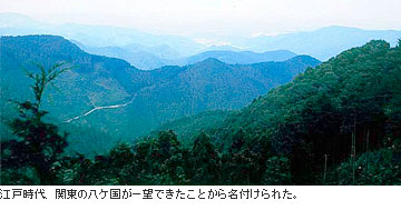 江戸時代、関東の八ケ国が一望できたことから名付けられた。