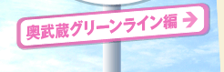 奥武蔵グリーンライン編