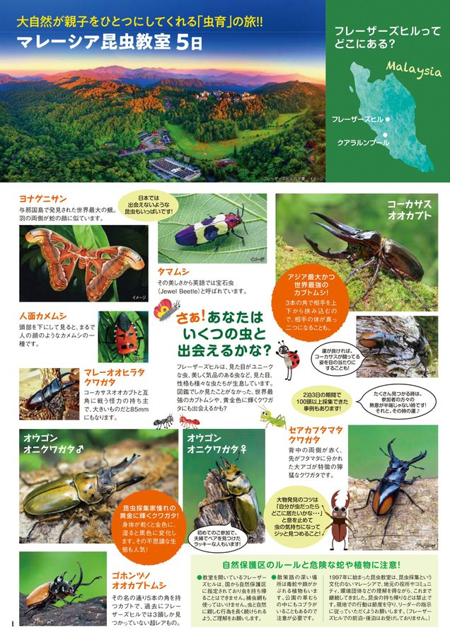成田発_関空発_マレーシア昆虫教室