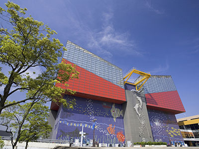海遊館