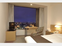 �V���O���i���j