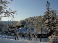 �y�h�̂���z�O�͈�ʂ̋␢�E�B���ɂ͐X�̓��������̑��ՁB�~�̐X�̂ł����܂���������쐶���������̑������������܂��B