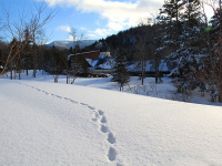 �y�O�ρz�m���m�̐X����X�ׂւƑ����L�^�L�c�l�̑��Ձ�