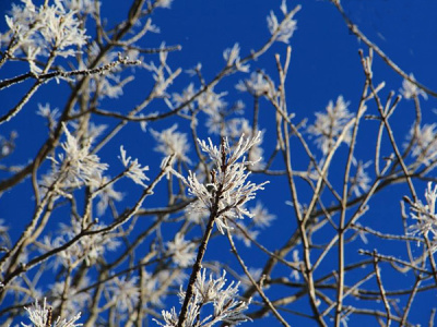 【周辺】オホーツクブルーの青空と樹氷