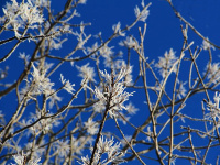 �y���Ӂz�I�z�[�c�N�u���[�̐�Ǝ��X