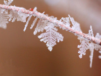 �y���Ӂz�����̃G�l���M�[���n��o���厩�R�̌|�p