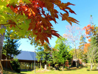 �y���Ӂz���������m���m�X�̏H���y���ނȂ獡�I