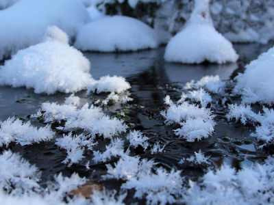 【周辺】氷のお花が咲く、冬の清流