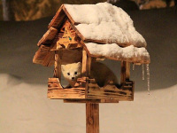 ���̉a���ɐN������G�]�N���e���̂Ă񂽂낤�B